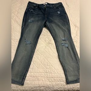 Lane Bryant jeans